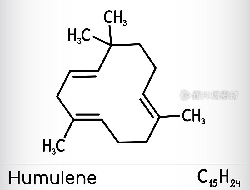 Humulene， α- Humulene或α-石竹烯分子。本品为啤酒花开花球果挥发油的主要成分。骨化学公式。
